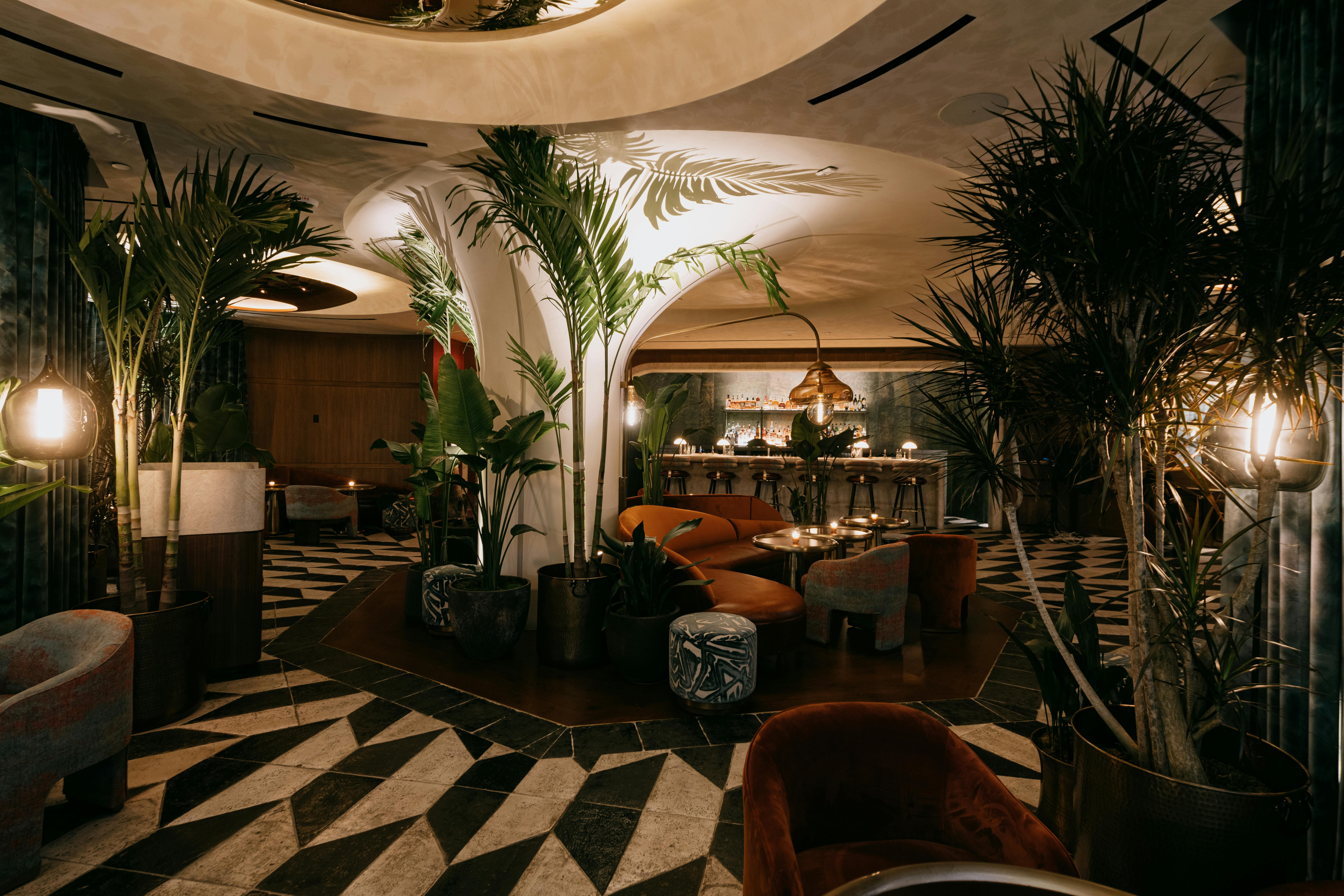 NYC’s New Restaurant Openings New York The Infatuation